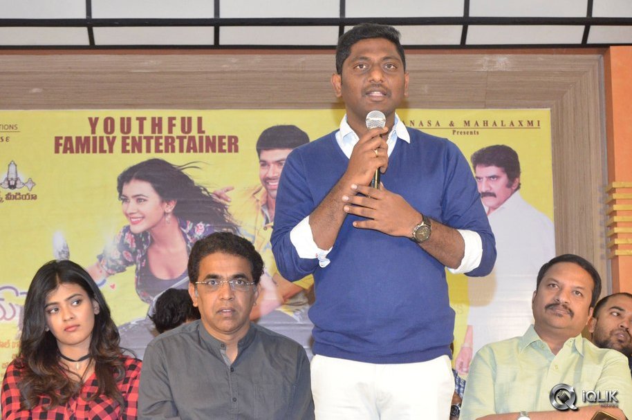 Nanna-Nenu-Naa-Boyfriends-Movie-Success-Meet